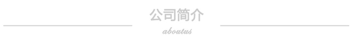 公司簡介